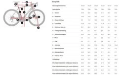 Trek Domane SL 6 ETap Gen 4 Crimson -One Hundred Percent Store Domane SL Gen 4 kleinAIGpJRyhyjOnt