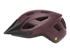 Liv Path MIPS Fahrradhelm - Matte Fig