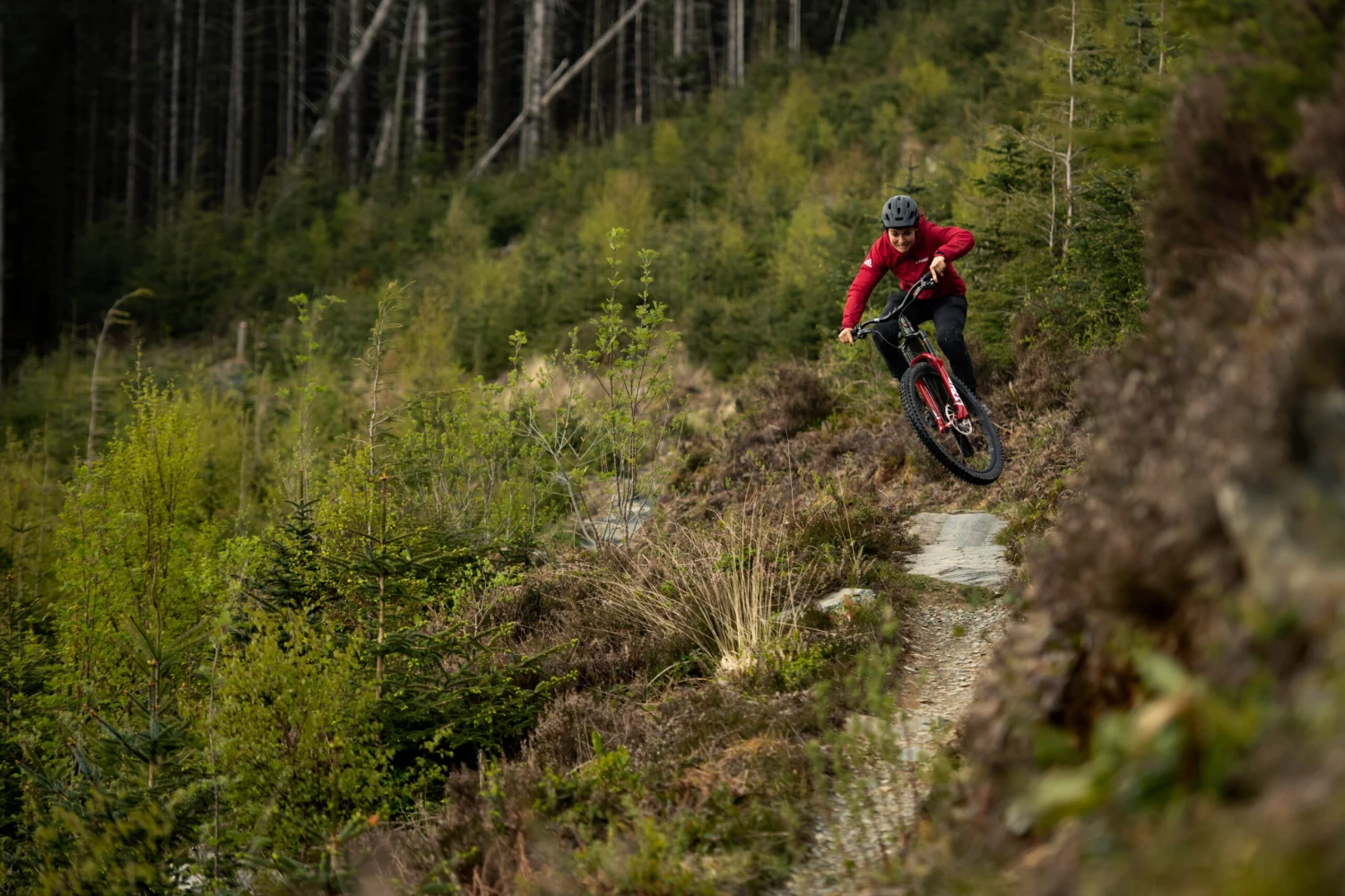 Santa Cruz Bronson 4 C MX XT RSV Gloss Moss And Blue 2 Santa Cruz Bronson 4 C MX XT RSV Gloss Moss And Blue – Bild 2