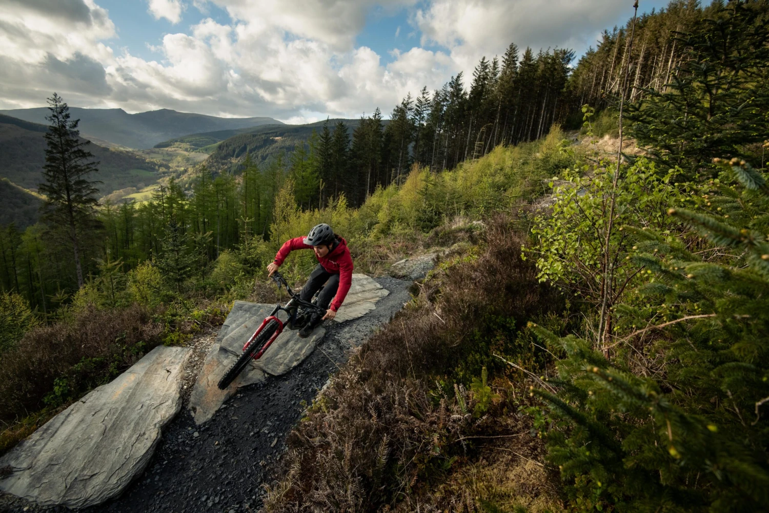 Santa Cruz Bronson 4 C MX XT RSV Gloss Moss And Blue 3 Santa Cruz Bronson 4 C MX XT RSV Gloss Moss And Blue – Bild 3