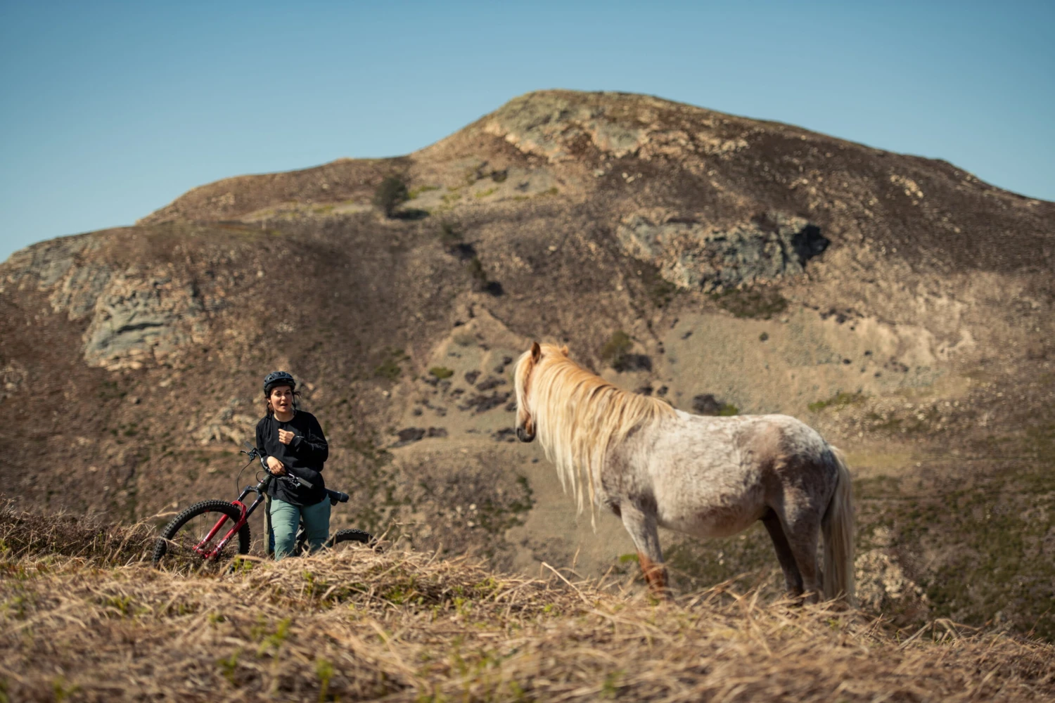 Santa Cruz Bronson 4 C MX XT RSV Gloss Moss And Blue 7 Santa Cruz Bronson 4 C MX XT RSV Gloss Moss And Blue – Bild 7
