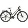 Trek Dual Sport 3 Equipped Damen Gen 5 Black Olive